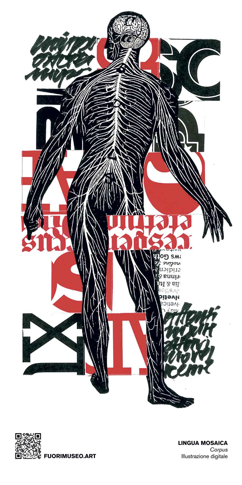 1-CORPUS-100X200